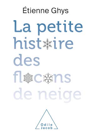 La petite histoire des flocons de neiges